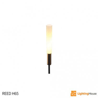 REED H65