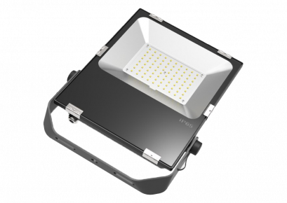 Flood Light TG3B-5