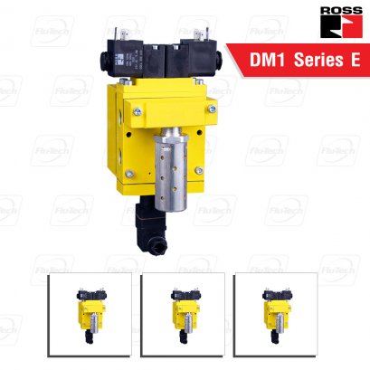 DM1 Series E