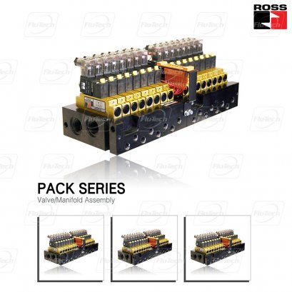 Pack Series Valve/Manifold Assembly