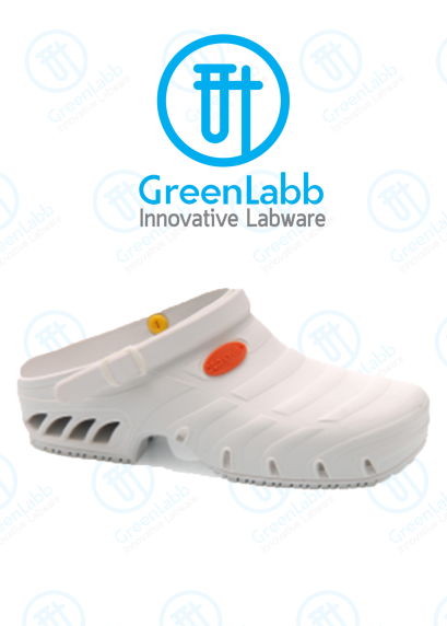 Autoclave shoes