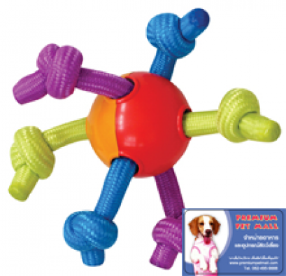 ของเล่นสุนัข Pet Stages Hearthy Chew