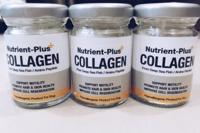 Nutrient Plus Collagen นูเทรี่ยนพลัสคอลลาเจน size L