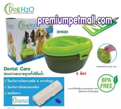 เครื่องให้น้ำอัตโนมัติ น้ำพุแมว สุนัข DogH2O รุ่น Dental Care จุ 6 ลิตร