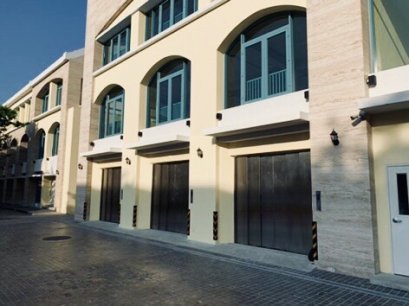 โครงการท่าช้าง 