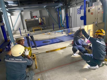 PM Siamese Exclusive Queens