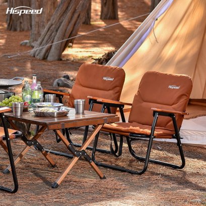 เก้าอี้สนาม