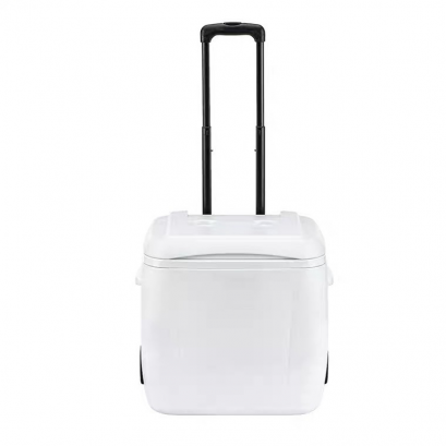 กระติกน้ำแข็ง