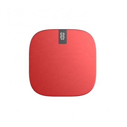 Power Bank / Backup Battery