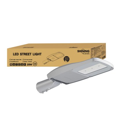 LED Street light Gen5 25W