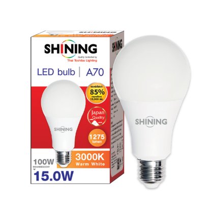 LED Bulb 15W Warm white