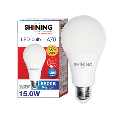 SHINING LED Bulb 15W Daylight, Warm White