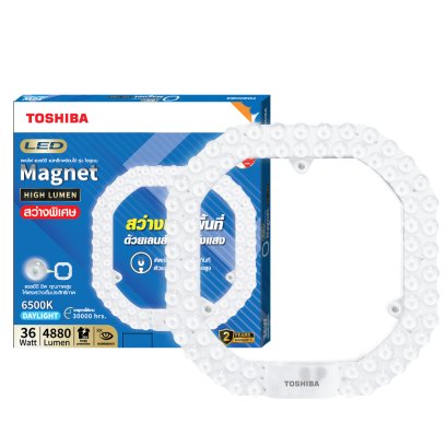 TOSHIBA LED Magnet High Lumen24W,36W