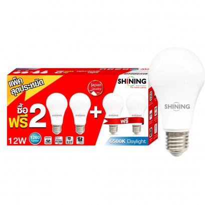 SHINING LED Bulb A60 12W Pack4