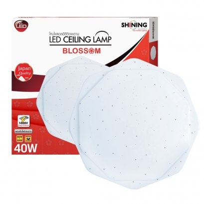 SHINING LED Ceiling Lamp Blossom 40W DL