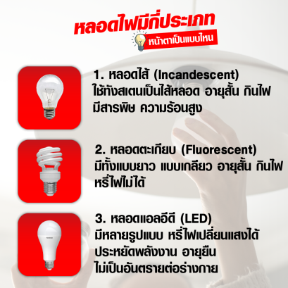 รู้หรือไม่ว่าหลอดไฟมีกี่ประเภท