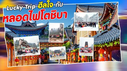 Lucky Trip ฮีลใจ กับหลอดไฟโตชิบา