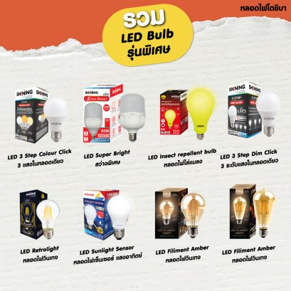 หลอดปกติหรือจะสู้พิเศษใส่ไข่ 