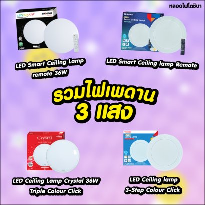 รวมโคมไฟเพดาน 3 แสง 