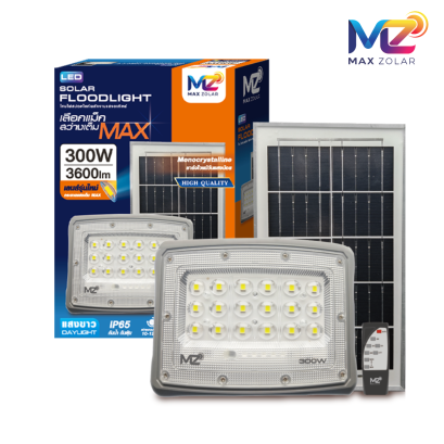 Max Zolar Floodlight 300W