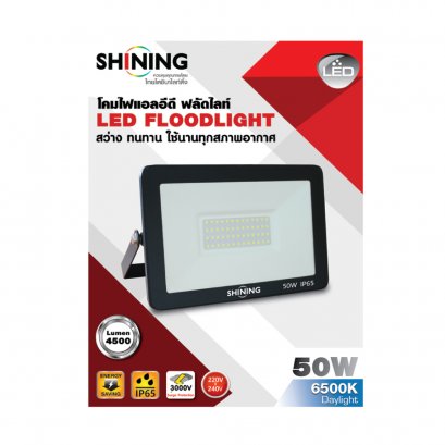 LED Flood Light 100W