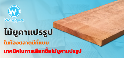 ไม้ยูคาแปรรูปในท้องตลาดมีกี่แบบ เทคนิคในการเลือกซื้อไม้ยูคาแปรรูป