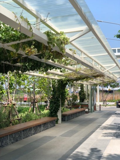 หลังคาโปร่งแสง ทางเลือกใหม่ของหลังคากันสาดและโรงรถ