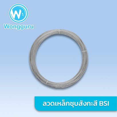 ลวดชุบสังกะสี เบอร์ 22.