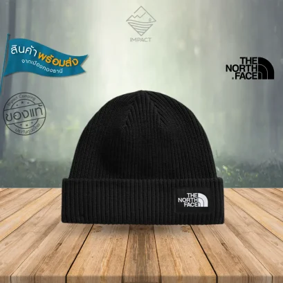 THE NORTH FACE หมวกไหมพรม SALTY LINED BEANIE