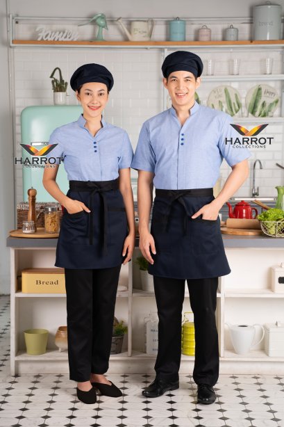 Blue V-neck Shirt  (SHW1603)