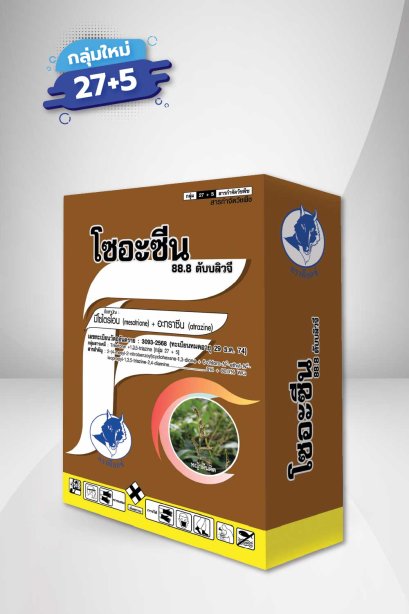 โซอะซีน 88.8 ดับบลิวจี