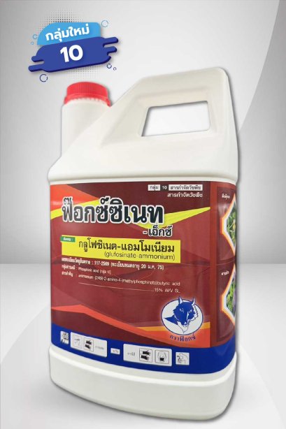 ฟ๊อกซ์ซิเนท - เอ็กซ์