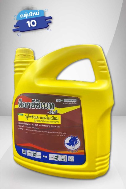 ฟ๊อกซ์ซิเนท - เอ็กซ์