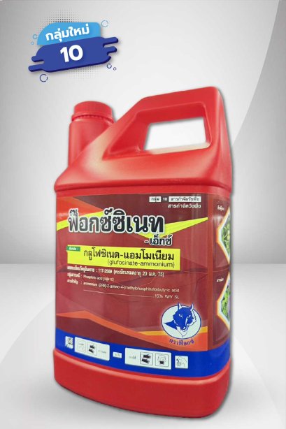 ฟ๊อกซ์ซิเนท - เอ็กซ์