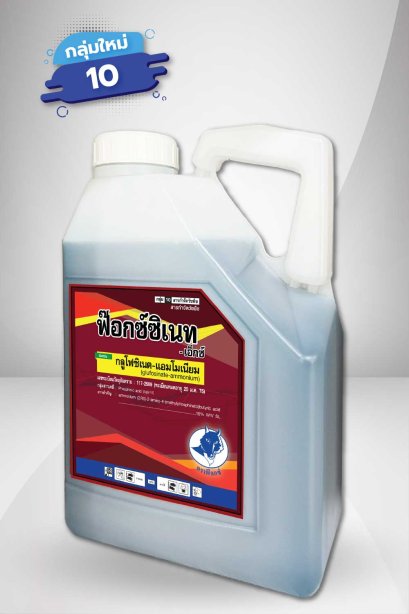 ฟ๊อกซ์ซิเนท - เอ็กซ์