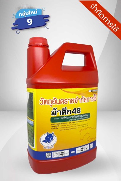 ม้าศึก 48