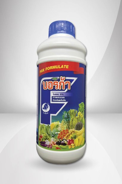 บอริก้า