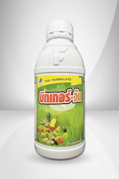 บิกเกอร์ - วัน