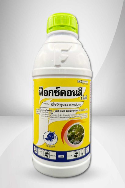 ฟ๊อกซ์คอนสึ 6 โอดี