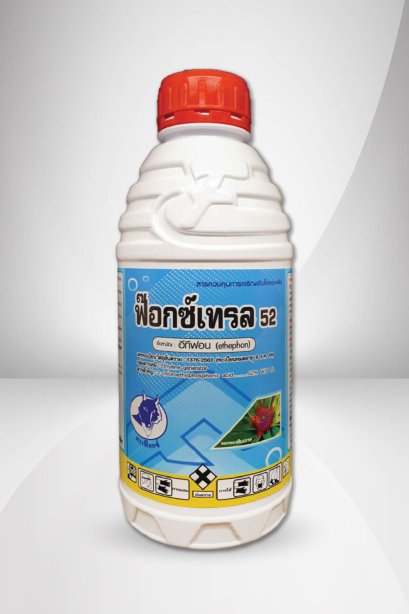 ฟ๊อกซ์เทรล 52