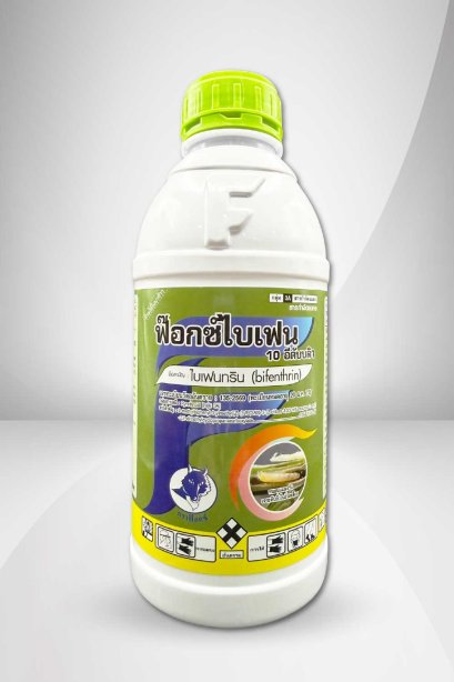 ฟ๊อกซ์ไบเฟน 10 อีดับบลิว