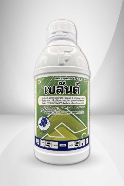 เบลันด์