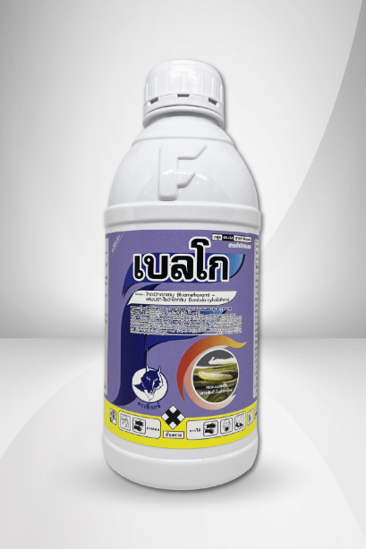เบลโก