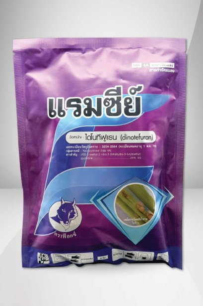 แรมซีย์