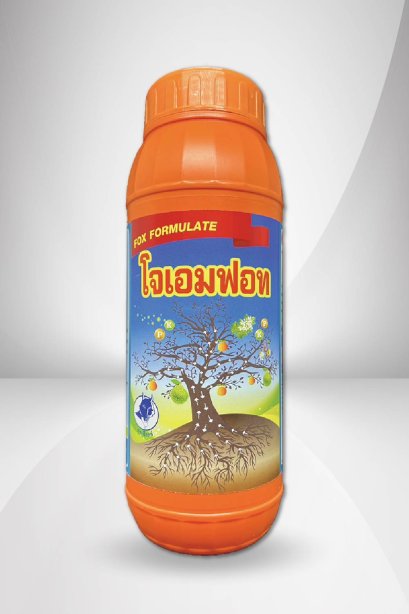 โจเอมฟอท