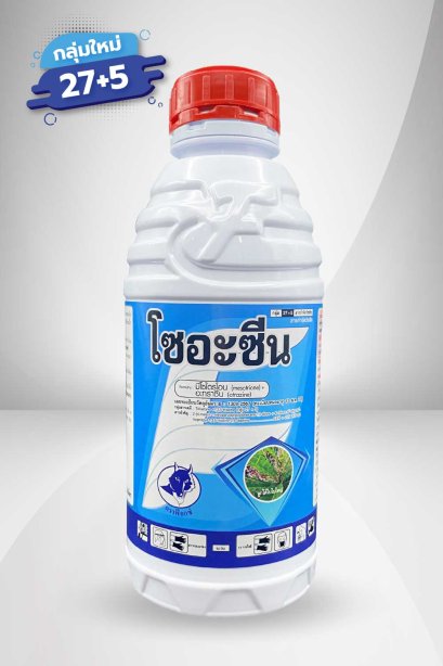 โซอะซีน