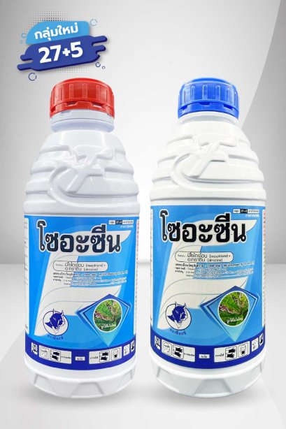 โซอะซีน