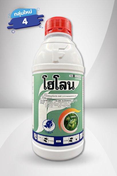 โฮโลน
