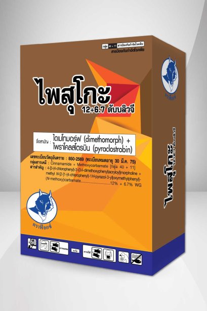 ไพสุโกะ 12+6.7 ดับบลิวจี