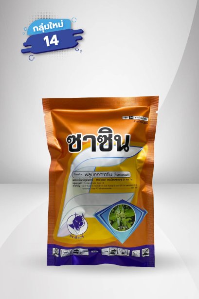 ซาซิน